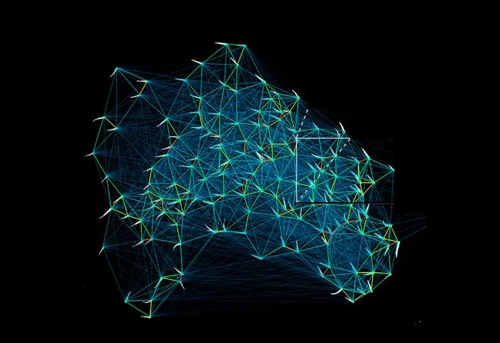 Complexity Explorable